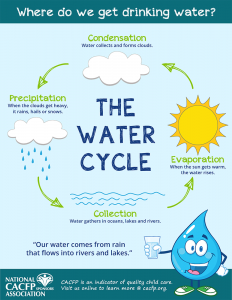 Water Cycle